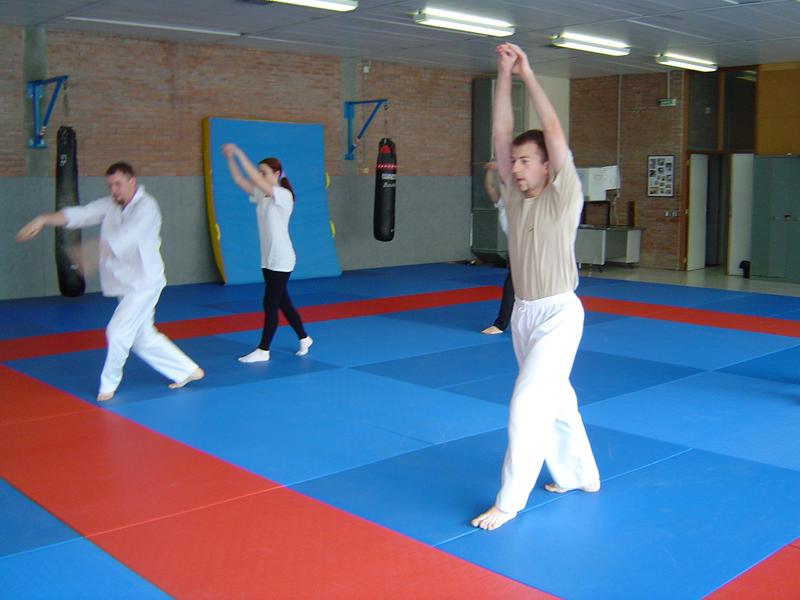 2004_dojo_118.jpg
