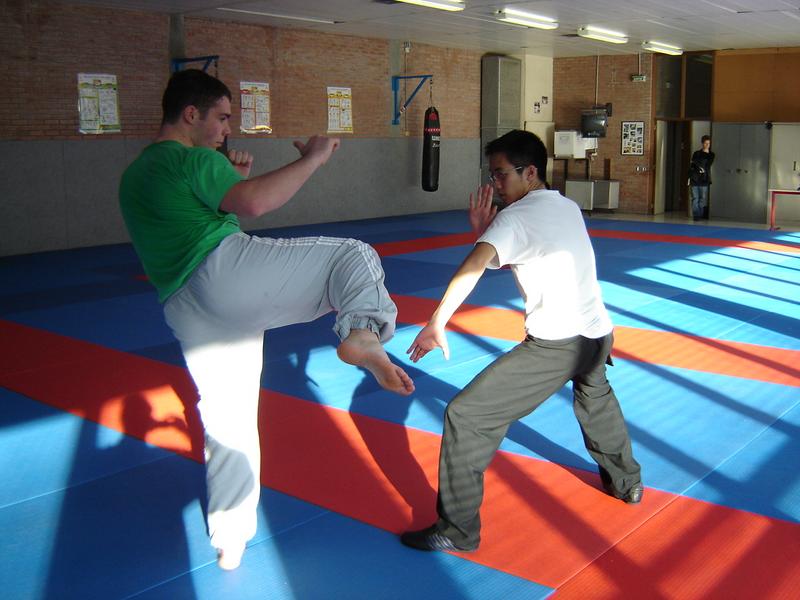 2005_dojo_113.jpg