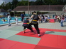2006_init_11.jpg