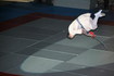 gala_376.jpg
