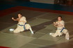 gala_390.jpg