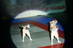 gala_657.jpg