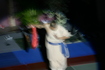 gala_679.jpg