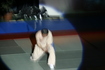 gala_699.jpg