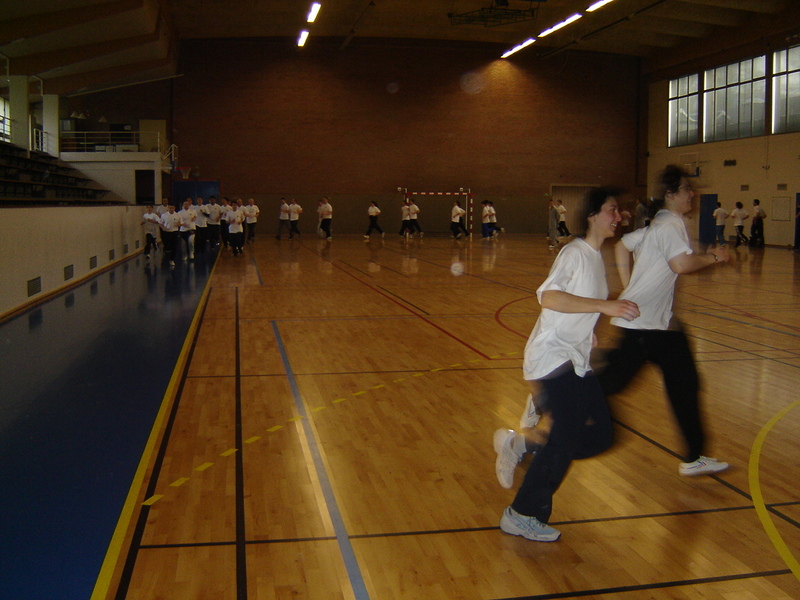 2007_stage2_011.jpg
